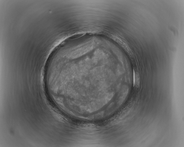 X0000112100483200908251153