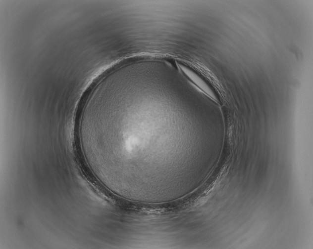 X0000112100484200908251152