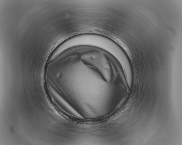 X0000112100485200908251152