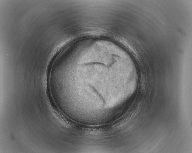 X0000112100486200908251152