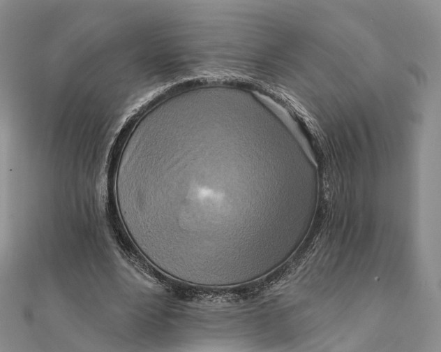 X0000112100488200908251152