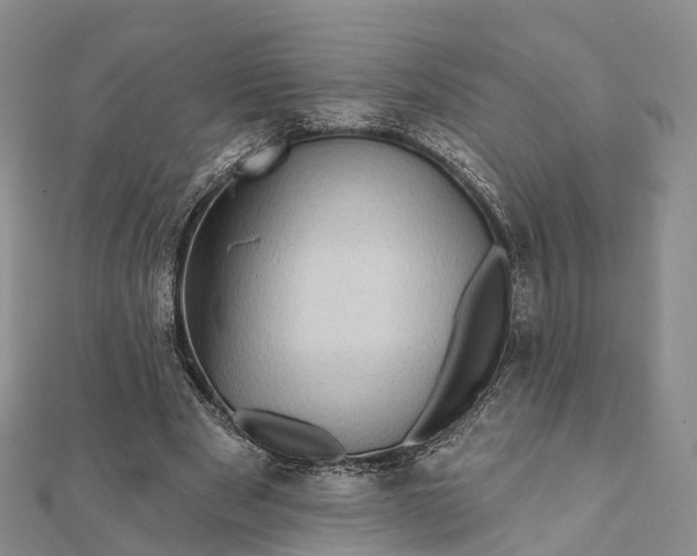 X0000112100489200908251152