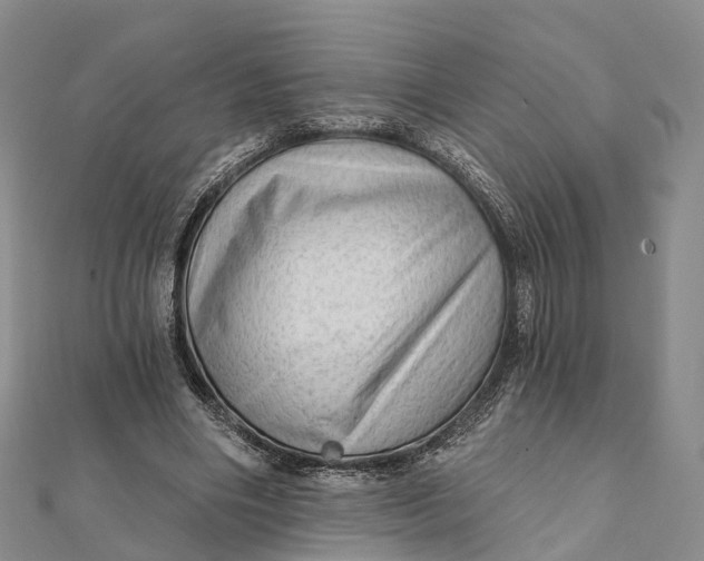 X0000112100490200908251152