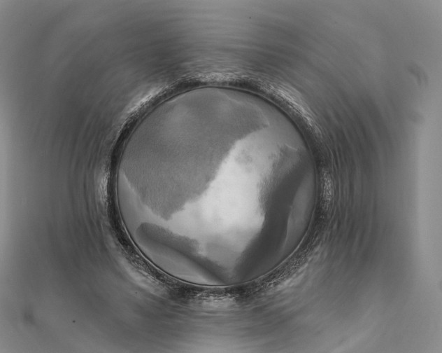 X0000112100491200908251152