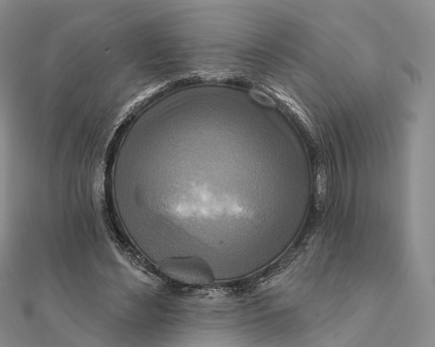 X0000112100492200908251152