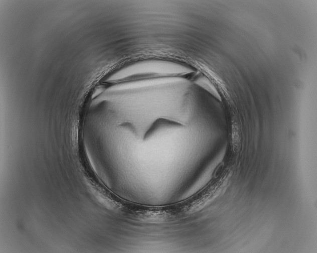 X0000112100493200908251152