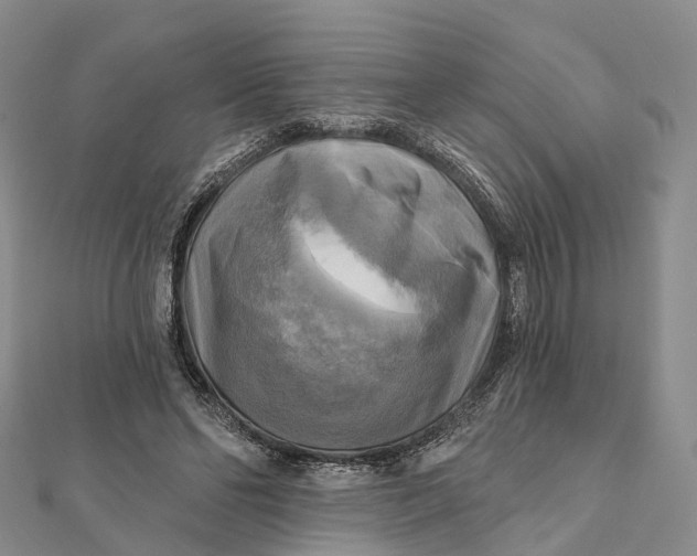 X0000112100494200908251152