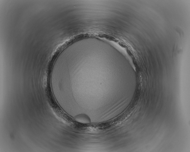 X0000112100496200908251152