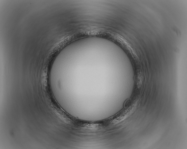 X0000112100497200908251152