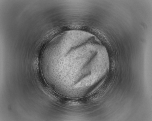 X0000112100498200908251152