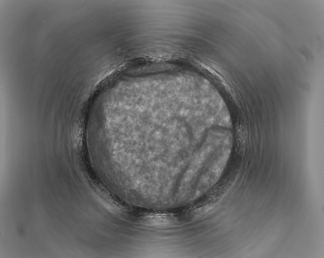 X0000112100499200908251152