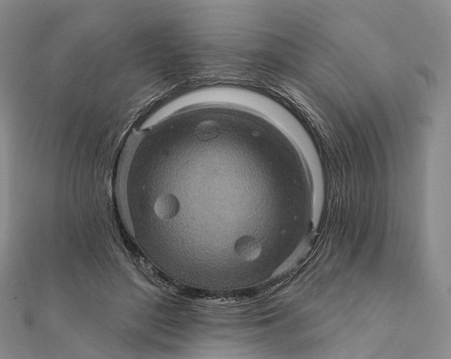 X0000112100500200908251152