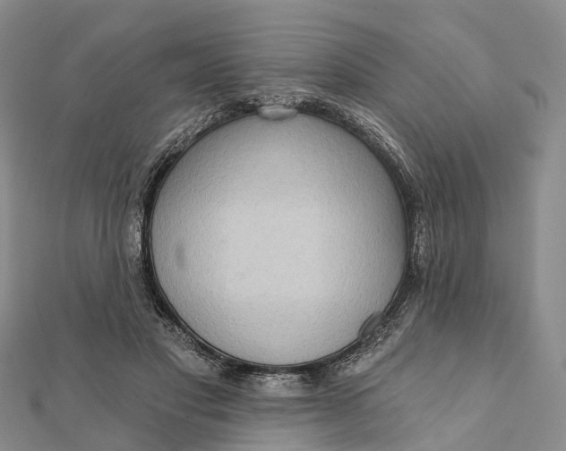 X0000112100501200908251152