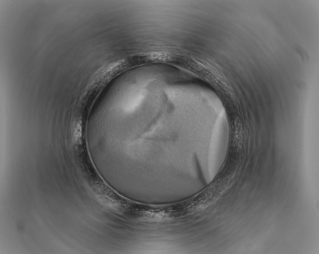 X0000112100502200908251152