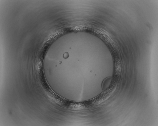 X0000112100503200908251152