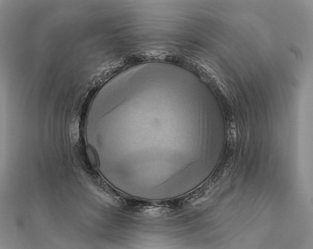 X0000112100504200908251152