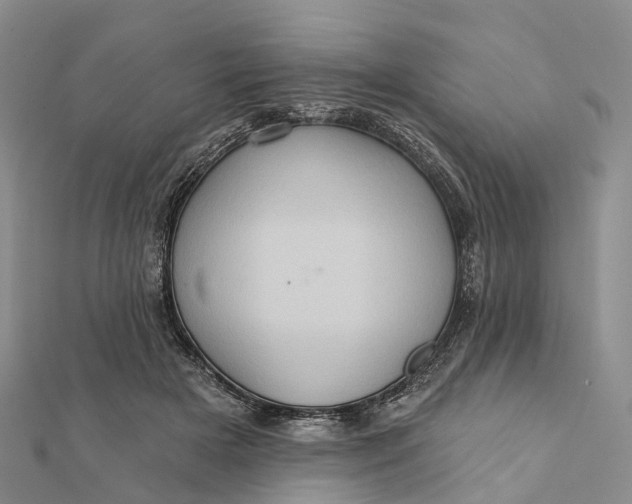 X0000112100505200908251152