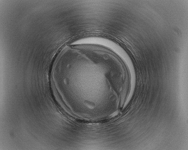 X0000112100508200908251152