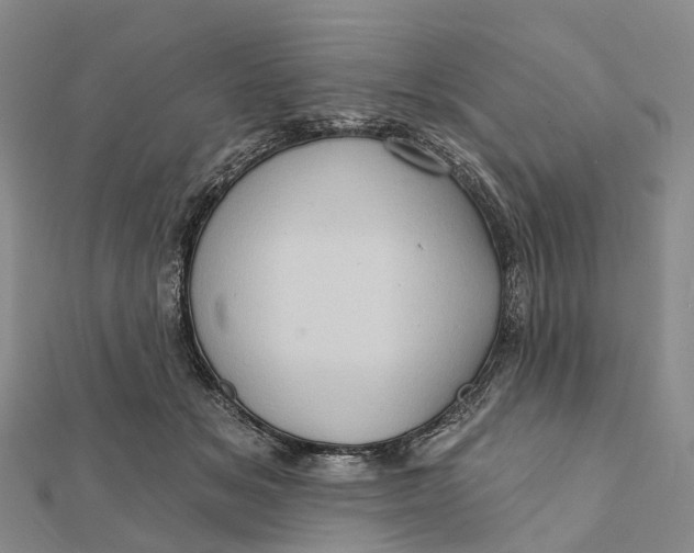 X0000112100509200908251152