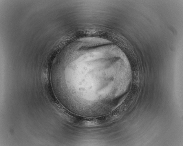 X0000112100510200908251152