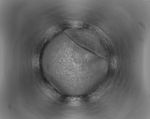 X0000112100512200908251152