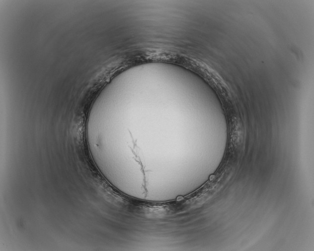 X0000112100513200908251152