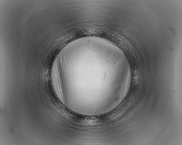 X0000112100514200908251152