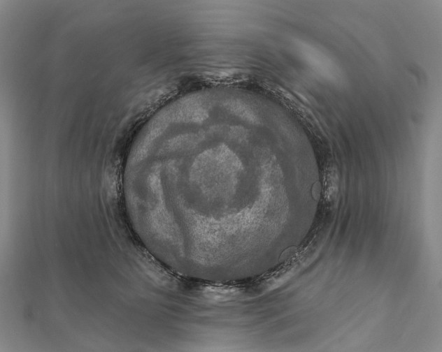 X0000112100515200908251152