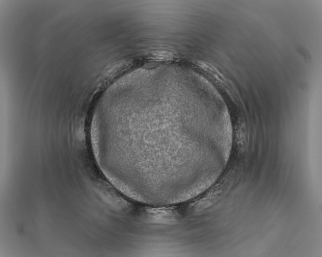 X0000112100516200908251152