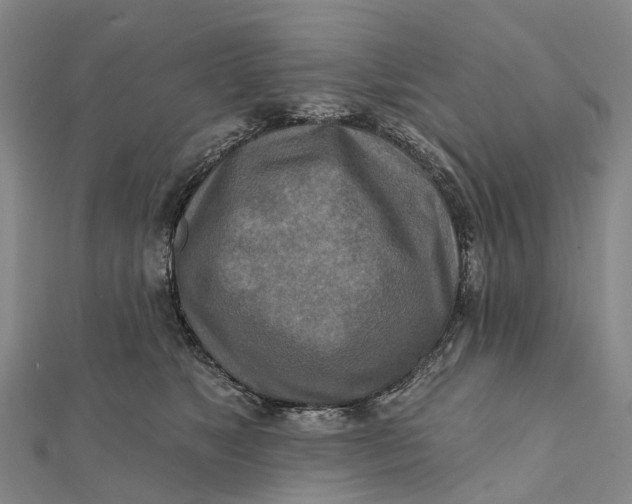 X0000112100517200908251152