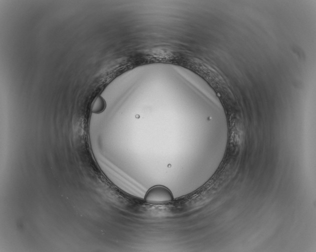 X0000112100518200908251152