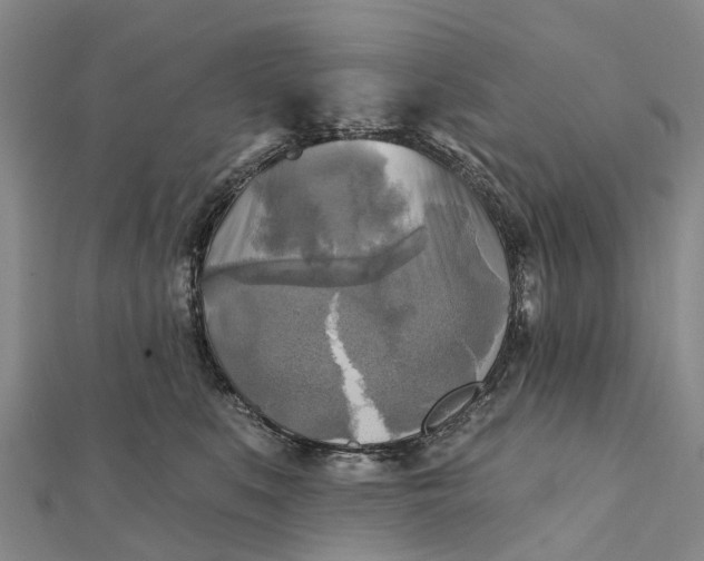 X0000112100519200908251152