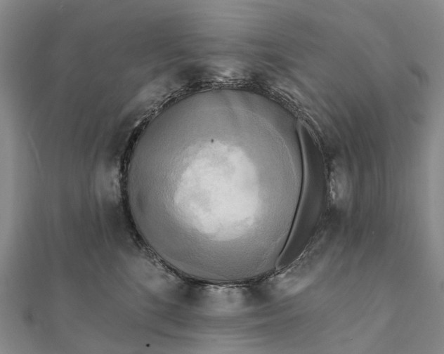 X0000112100520200908251152