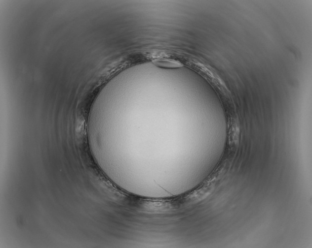 X0000112100521200908251152