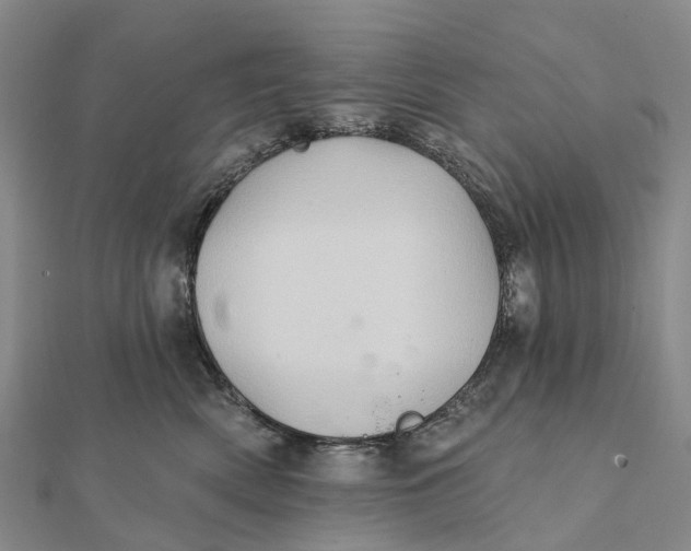 X0000112100522200908251152