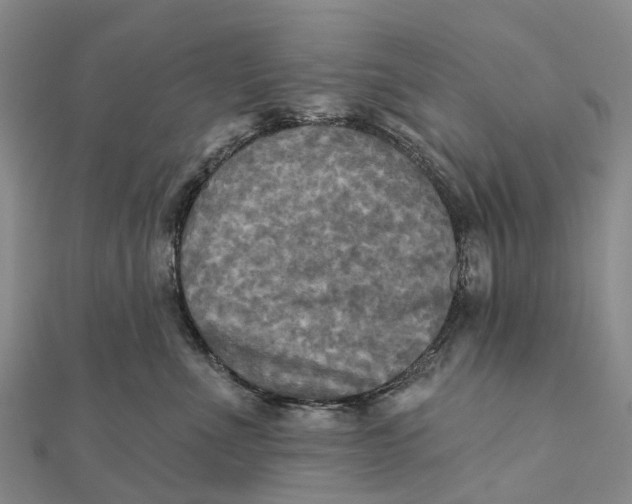 X0000112100523200908251152