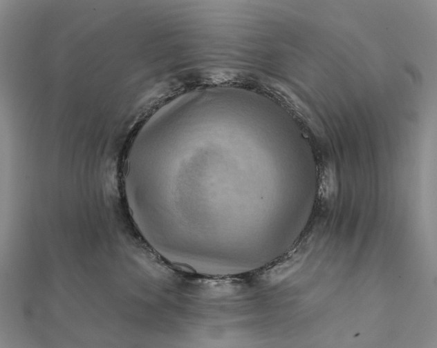 X0000112100524200908251152