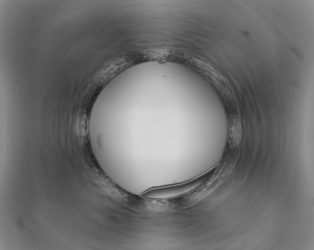 X0000112100525200908251152