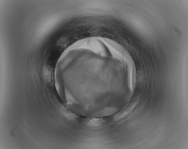 X0000112100527200908251152