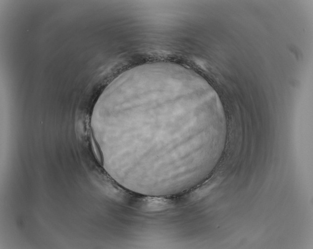 X0000112100528200908251152