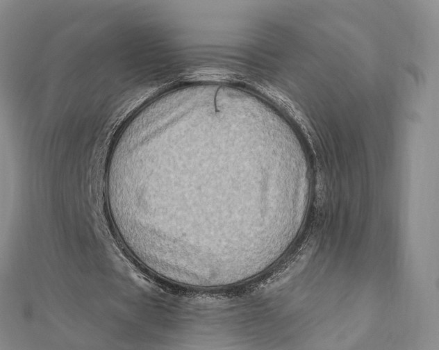 X0000112100529200908251151