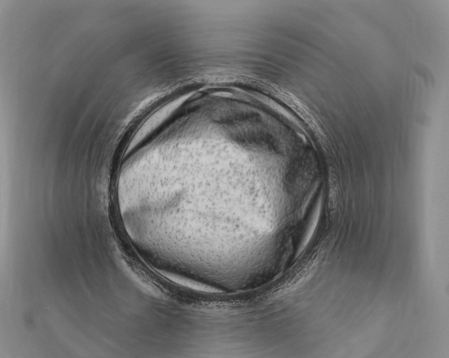 X0000112100530200908251151