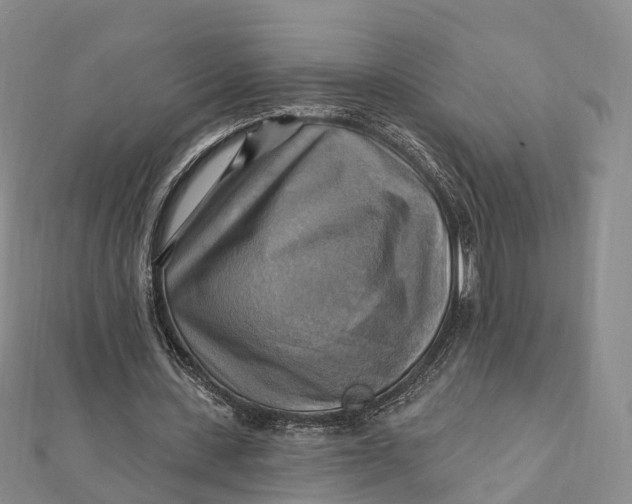 X0000112100531200908251151