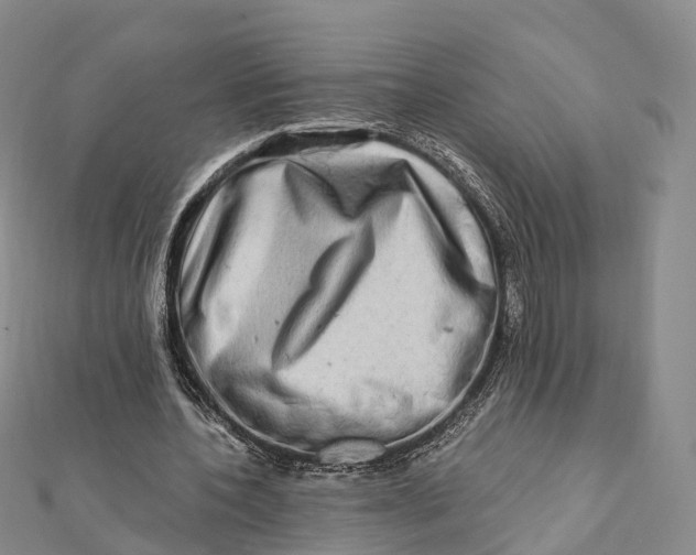 X0000112100532200908251151