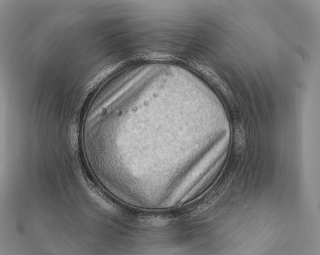 X0000112100533200908251151