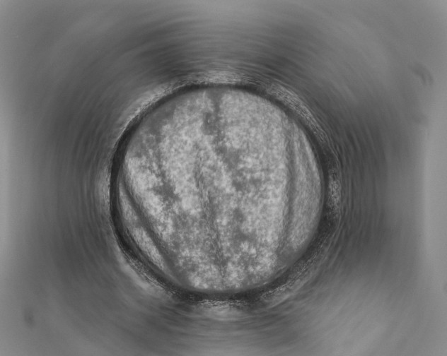 X0000112100534200908251151