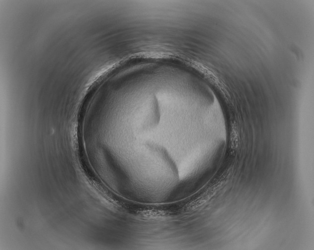 X0000112100535200908251151