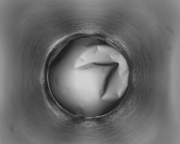 X0000112100536200908251151