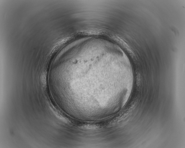 X0000112100537200908251151