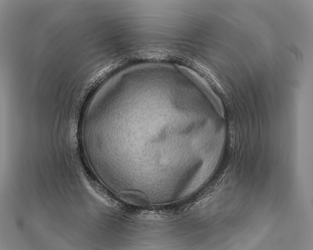 X0000112100538200908251151